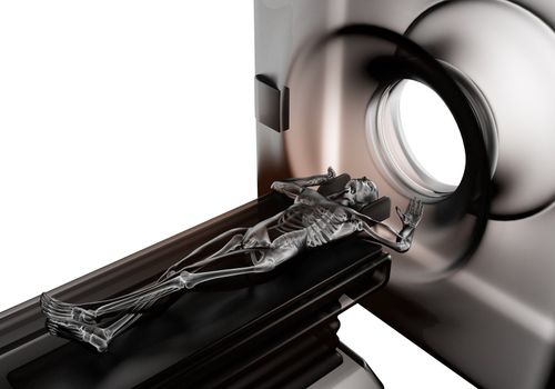 MRI examination made in 3D graphics