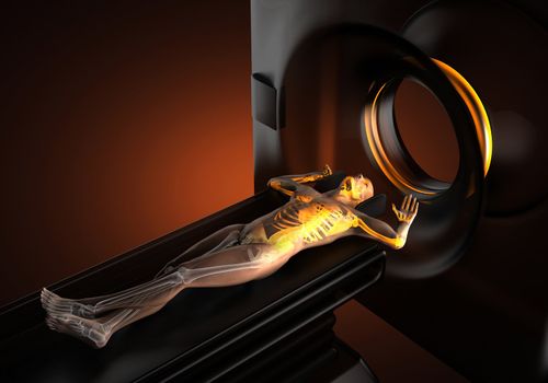 MRI examination made in 3D graphics