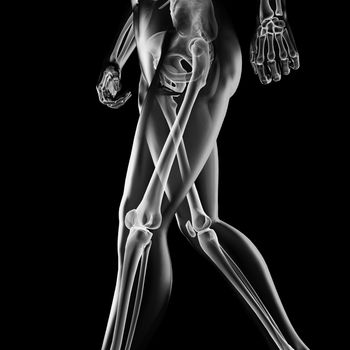 human radiography scan made in 3D