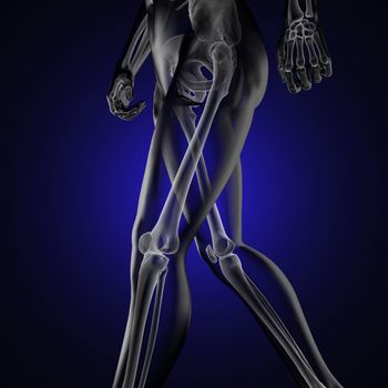 human radiography scan made in 3D