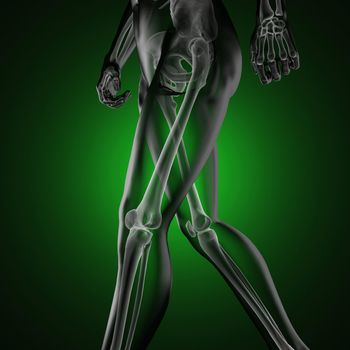 human radiography scan made in 3D