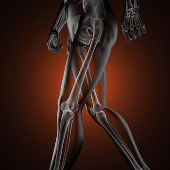 human radiography scan made in 3D