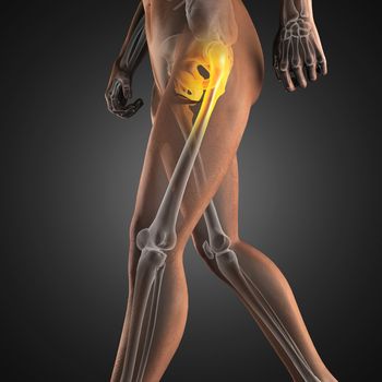 human radiography scan made in 3D