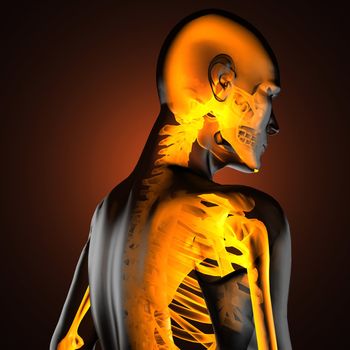 human radiography scan made in 3D