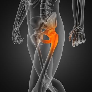 human radiography scan