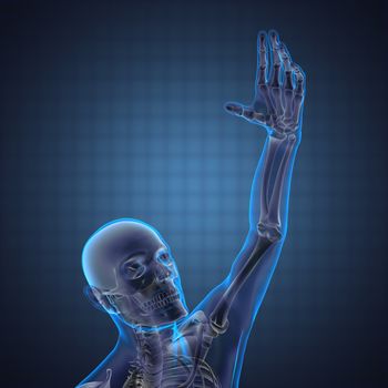 human radiography scan made in 3D