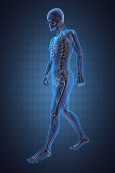 walking man radiography made in 3D