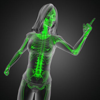 cute woman radiography made in 3D graphics