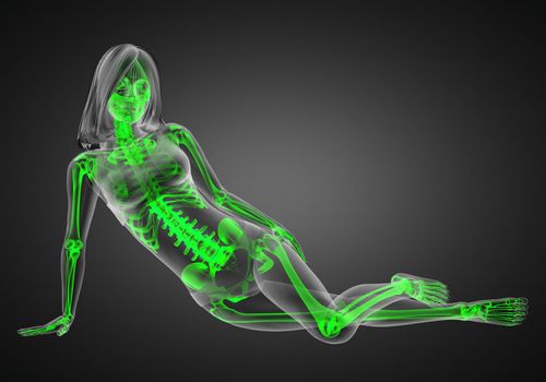 cute woman radiography made in 3D graphics