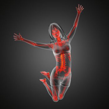 jump woman radiography made in 3D