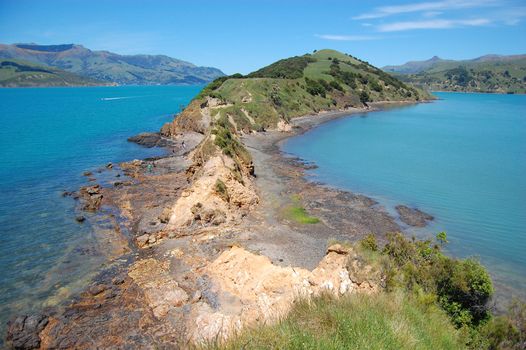 Onawe peninsula near Akaroa, Banks Peninsula, New Zealand