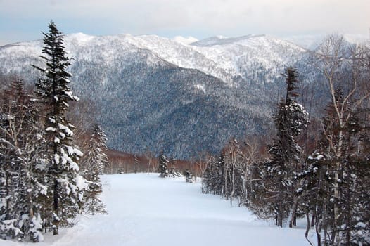 Winter forest hills, Yuzhno Sakhalinsk, Sakhalin, Russia