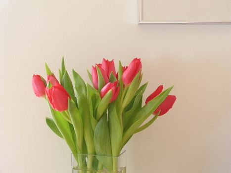 Red tulips in vase.