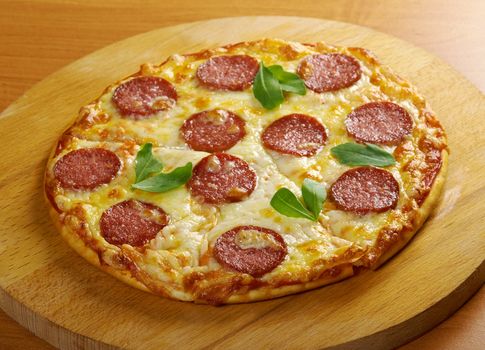homemade pizza  Pepperoni.Closeup 