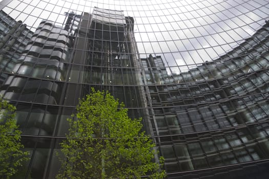 Green tree in front of a glass fronted office building in the City of London, England, United Kingdom