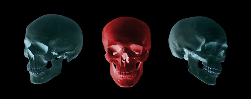 blue and red skulls