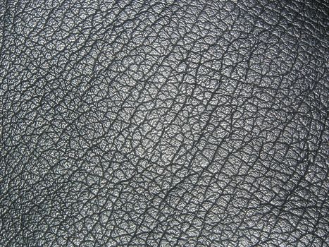 leather texture