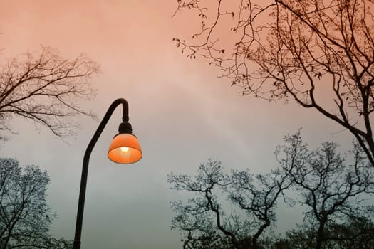 Lonely lamp in the park at dusk - early spring.
