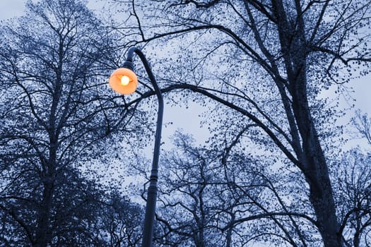 Lonely lamp in the park at dusk - early springtime.