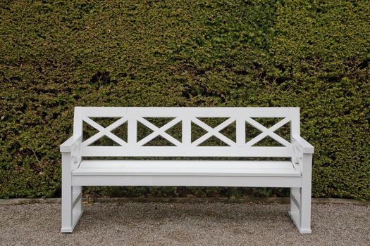 Nice white painted bench in a park. Placed up against a huge newly cut hedge.