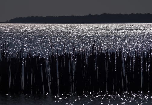 Fence bamboo row with abstract shining water and rainforest on background