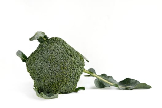 Broccoli vegetable isolated on white