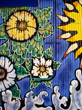 Flowers and a Drainpipe bring color to city streets