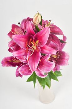Studio shoot of purple lilium in vase