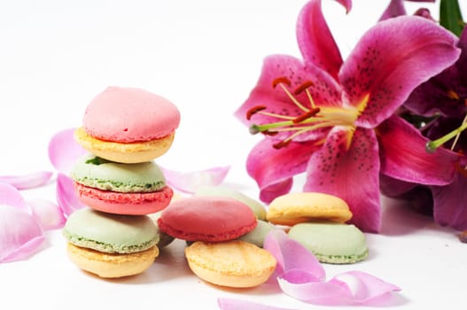 Rose petals and macaron cookies in studio