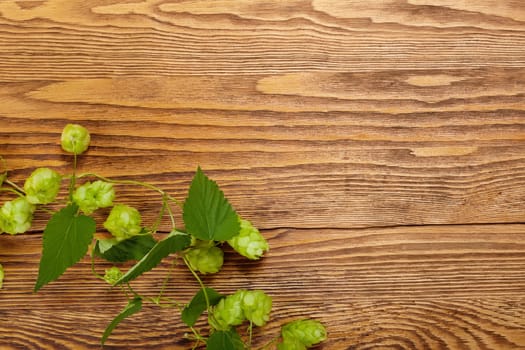 Image of a hop plant on a wooden table. Close up