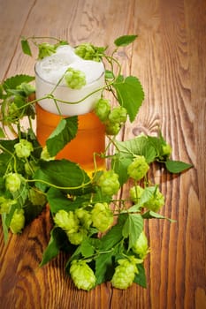 Image of a pint with a hop plant around it