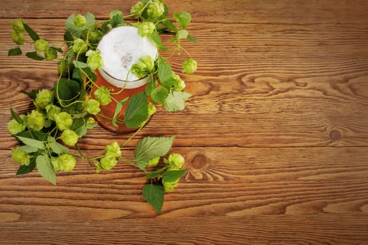 Image of a pint with a hop plant around it