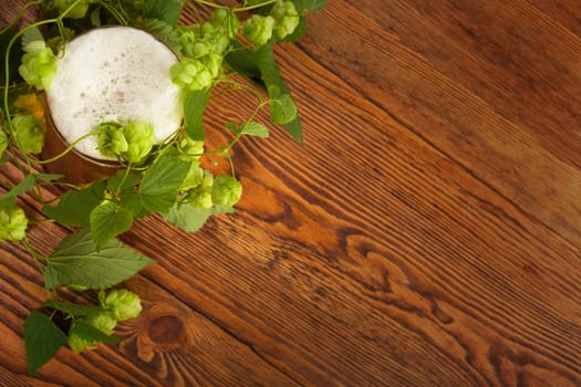 Image of a pint with a hop plant around it