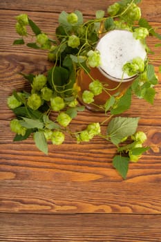 Image of a pint with a hop plant around it