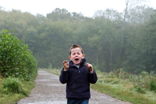 little boy crying out in the woods