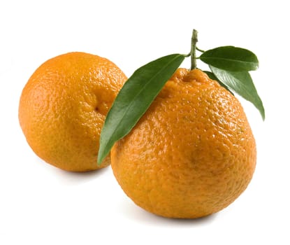 Two tangerines with green leaf on the white background