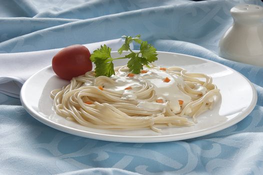 Spaghetti with cheese cream sauce, tomatoes and parsley on the white palte