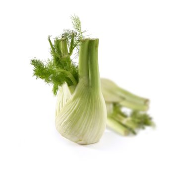 Isolated fresh green root of fennel on the white background