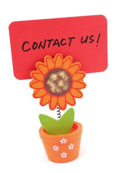 Contact us words written on red paper of sun flower pot clip