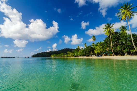 View of tropical palm tree lined coast in Caribbean island