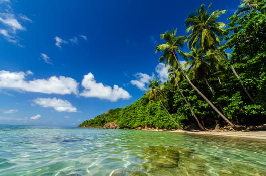 Crystal clear water next to beautiful secluded white sand beach in San Andres y Providencia, Colombia