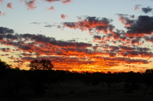 sunset in the Australian bush