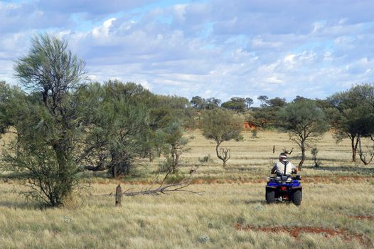 Gold bearing prospection in the Australian bush in quad to have a larger research area and to find the most beautiful gold nuggets.