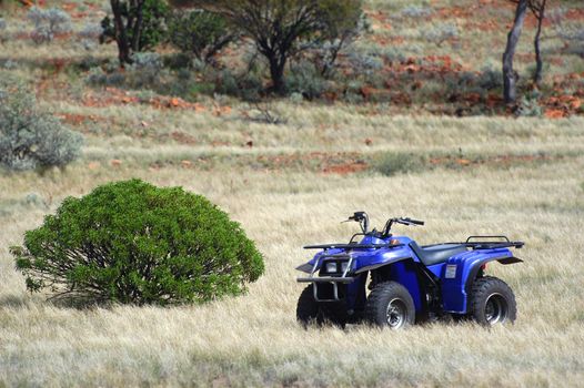 Gold bearing prospection in the Australian bush in quad to have a larger research area and to find the most beautiful gold nuggets.