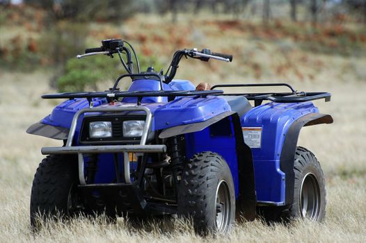 Gold bearing prospection in the Australian bush in quad to have a larger research area and to find the most beautiful gold nuggets.
