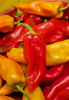 Red, yellow, orange chili peppers at farmers market with focus on one