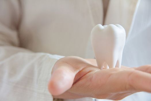 dentist holding molar,dental concept