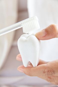 dentist holding molar with brush