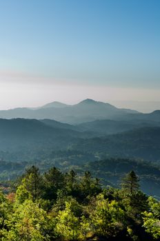 Blue tone Mountain vertical and Front green tree