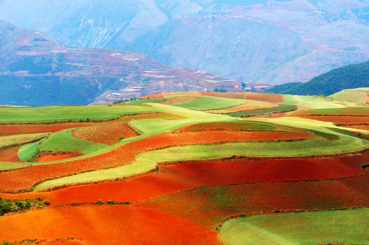 Beautiful fields landscapes in Yunnan Province, southwest of China